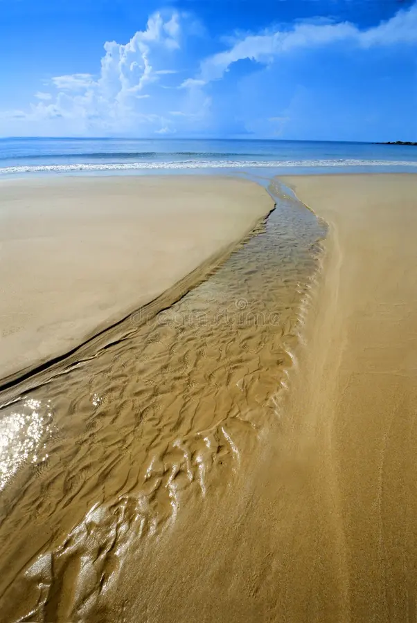 Sandy Shores & Seas